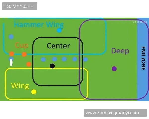 南京飞盘队的战术解析与控制体系探讨