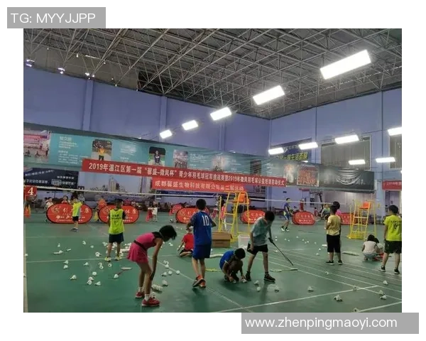 成都羽毛球队在欧锦赛中的比赛经验与表现分析